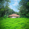 Отель Paithal Mount Cottage, фото 47