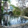 Отель The Rainbow Plantation Bed and Breakfast, фото 1
