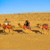Отель Jaisalmer Desert Safari Camps And Resort, фото 1
