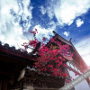 Отель Lijiang Qingyi Inn, фото 11
