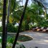 Отель Arenas Del Mar Beachfront & Rainforest Member of the Cayuga Collection, фото 21