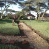 Отель Ikoma Safari Camp, фото 25