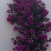 Отель Casa Marilla, фото 1