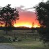 Отель Lovedale Red Gum Cottage, фото 19