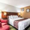 Отель Quality Inn & Suites, фото 28