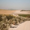 Отель La Carreña, фото 17