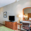 Отель Comfort Inn & Suites, фото 12