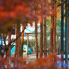 Отель Wonderland RV Camp Yanguan, фото 1