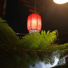Отель Jiaoxicun Inn, фото 18