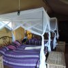 Отель Serengeti Wildebeest Camp, фото 10
