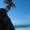 Отель The Tangalle Private House, фото 10