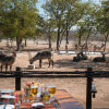 Отель Ongava Tented Camp, фото 11