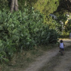 Отель Agriturismo Porta al Colle, фото 6