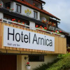 Отель Arnica, фото 1