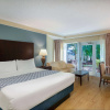 Отель Safety Harbor Resort & Spa Trademark Collection by Wyndham, фото 3