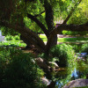 Отель Fairmont Scottsdale Princess, фото 27