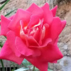Отель La Mansarda del Sodo, фото 7