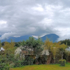 Отель Da Vinci Gorilla Lodge, фото 21