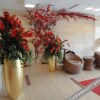 Отель Jiatai Business Hotel, фото 3