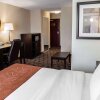 Отель Comfort Suites West Indianapolis - Brownsburg, фото 2