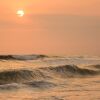 Отель The Driftwood Surfer, фото 14