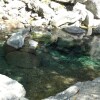 Отель Tosaryu Onsen Sanyoso, фото 38