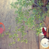 Отель Taishan Wanneng Youth Hostel, фото 6