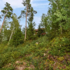 Отель Holiday Home Isokoskelo 5 by Interhome, фото 6