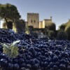 Отель Agriturismo La Montecchia, фото 13