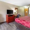 Отель Econo Lodge Inn And Suites Dickson, фото 15