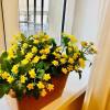 Отель My 2th Little House In 2 steps Filarmonia, фото 17