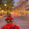 Отель San Jose Safehouse Suites, фото 13