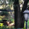 Отель Magnolias Jardin & Boutique Suites, фото 4