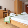 Отель Wellness Hotel Patince, фото 3