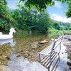 Отель Danyang Countryside Path in Forest Pension, фото 7