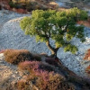 Отель Meravigliosamente Toscana, фото 4