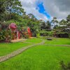 Отель Arenal Backpackers Resort, фото 40