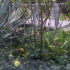 Отель Water Lily Garden B&B, фото 6