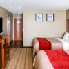 Отель Comfort Inn & Suites, фото 3