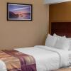 Отель Quality Hotel & Suites, фото 29