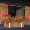 Отель Les Chalets de Pierretoun, фото 1