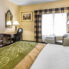 Отель Comfort Inn, фото 4