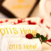 Отель Otis Hotel, фото 10