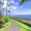 Отель Napili Shores D229 Studio Bedroom Condo by RedAwning, фото 32