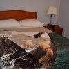Отель The Mighty Fraser Motel, фото 11