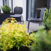 Отель Garden Hill Apartments, фото 5
