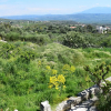 Отель Eirini's Stone House, фото 10