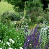 Отель Firwood Country Bed and Breakfast, фото 10