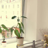 Отель Sunny Loft Studio, фото 6