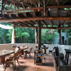 Отель Jolie Jungle, фото 5
